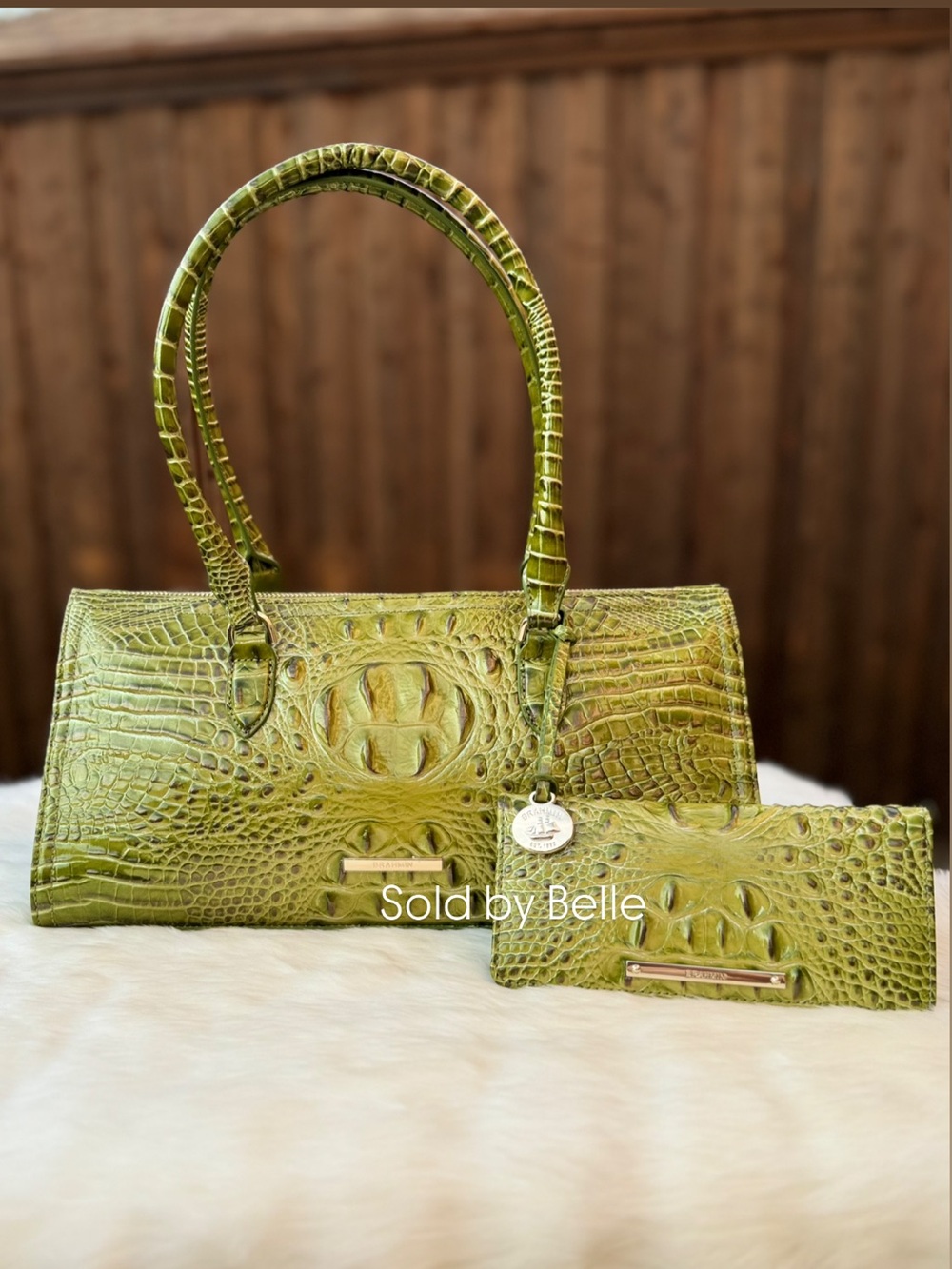 NWT Brahmin Sophia Olive Ombre Melbourne Ady Wallet Matching SET